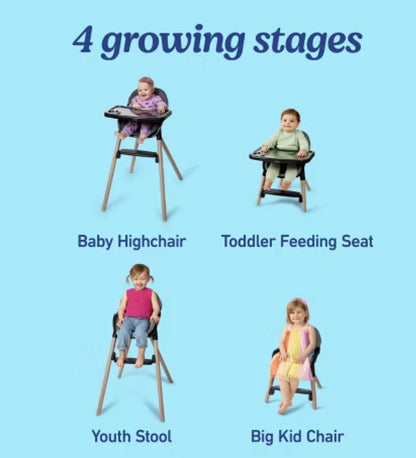 Graco Ready2Dine DLX 4-in-1 Standard High Chair